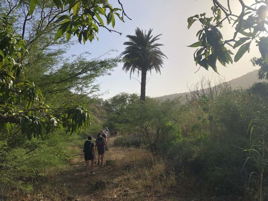 Praia: Baobab Mysterious Tree, Green Valley & Old City Hike - How the $53 price works out