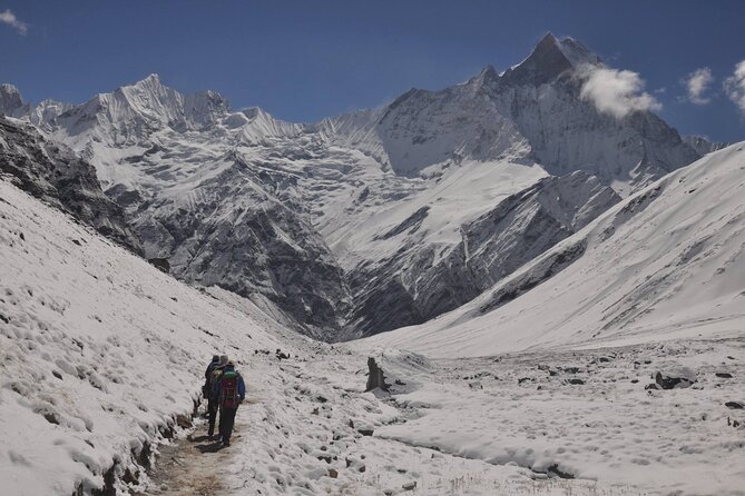 Private 7 - Day Annapurna Base Camp Trekking - Day 5: Time for Annapurna Base Camp and the descent