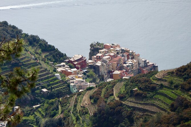 Private Cinque Terre Trek & Tour - How demanding is the hike?