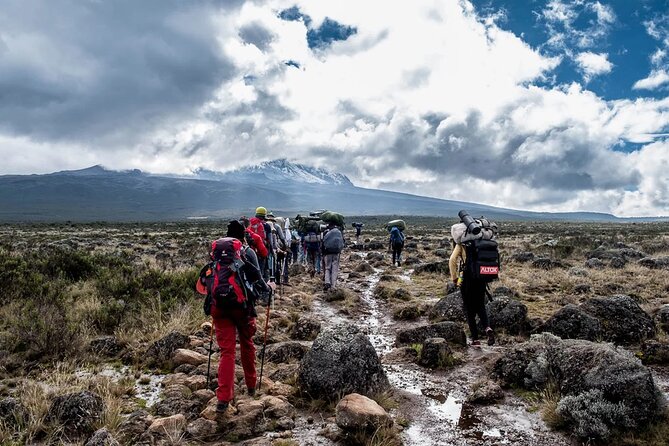 Private Full Day Hiking Experience to Marangu Route - Lunch, Mandara Hut, and the turnaround point