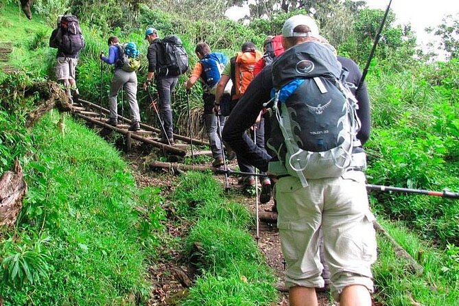 Private Full Day Hiking Experience to Marangu Route - What the private format adds
