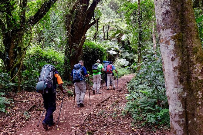 Private Full Day Hiking Experience to Marangu Route - Practical preparation for the 7-hour day