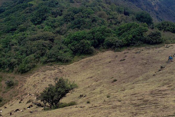 Private Half Day Hike to Ngong Hills from Nairobi - Booking details and cancellation terms