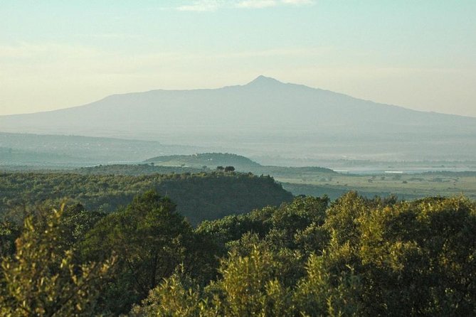 Private Hiking Day Trip to Mt. Longonot from Nairobi - Reaching the crater rim