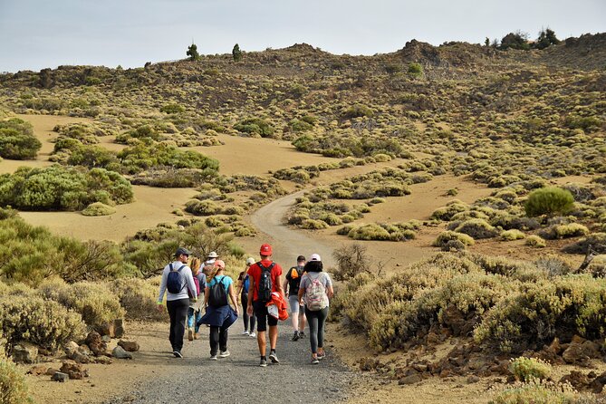 PRIVATE TOUR Teide National Park: Hiking and Stargazing - From Tenerife’s pine forest to Teide’s high slopes
