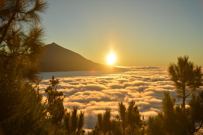 PRIVATE TOUR Teide National Park: Hiking and Stargazing - What the private format is worth at $239.65