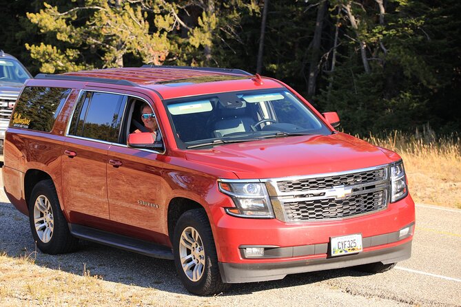 Private Yellowstone Tour: ICONIC Sites, Wildlife, Family Friendly Hikes + lunch - Yellowstone’s geothermal country, from mud pots to geysers
