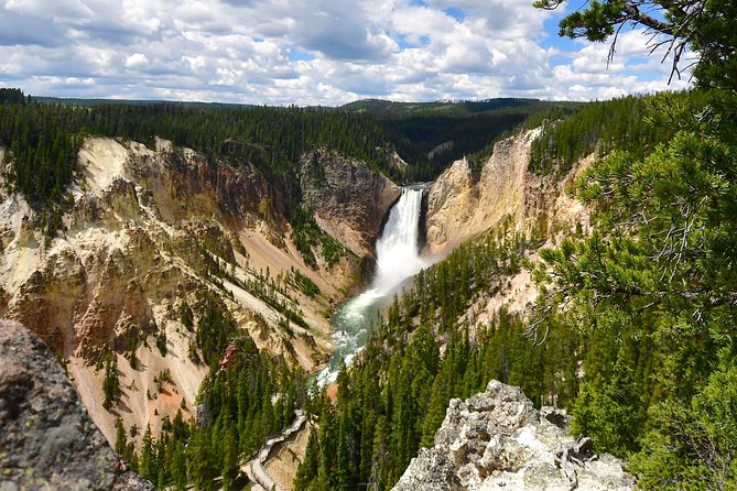 Private Yellowstone Tour: ICONIC Sites, Wildlife, Family Friendly Hikes + lunch - The real value of $1,999