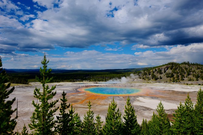 Private Yellowstone Tour: ICONIC Sites, Wildlife, Family Friendly Hikes + lunch - The Grand Canyon of the Yellowstone and Lower Falls