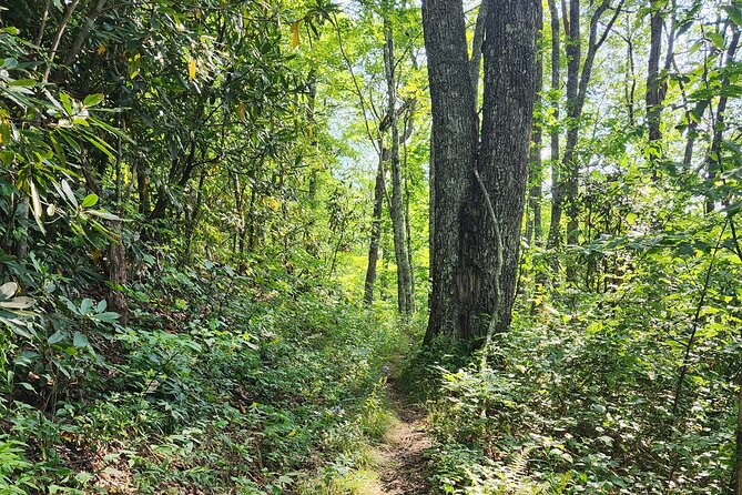 Privately Guided Half Day Hike - Views, waterfalls, and quieter trail time