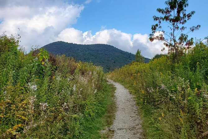 Privately Guided Half Day Hike - Booking, weather, and cancellation details