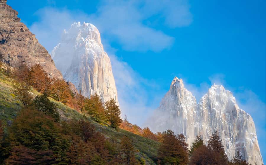 Puerto Natales: Base of the Towers Trekking Experience - Key points to know before you book