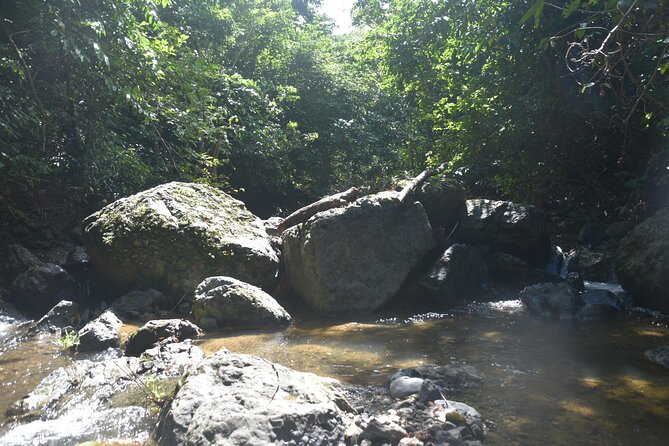 Puerto Rico Waterfall Hiking Tour: Discover Hidden Gems 2.0 - The 130-foot waterfall and its cold pool