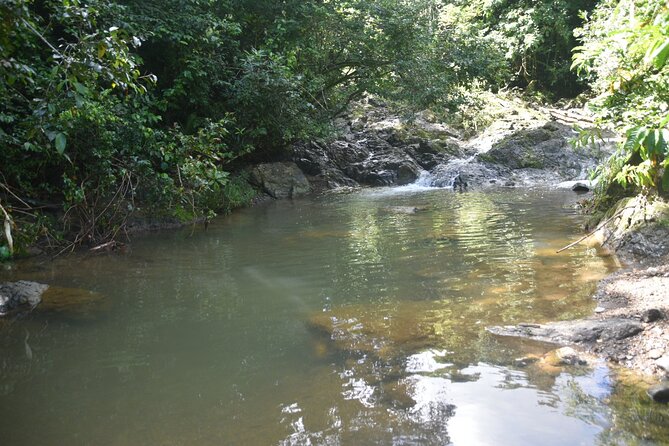Puerto Rico Waterfall Hiking Tour: Discover Hidden Gems 2.0 - Lunch brings the day back to local life