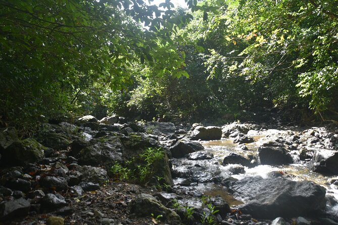 Puerto Rico Waterfall Hiking Tour: Discover Hidden Gems 2.0 - Is $80 a good value?