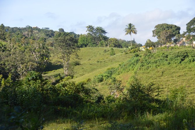 Puerto Rico Waterfall Hiking Tour: Discover Hidden Gems 2.0 - What the trail is really like