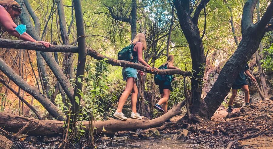 Punta Cana: Los Haitises Hike & Kayaking Mangroves - Key points to know before you book