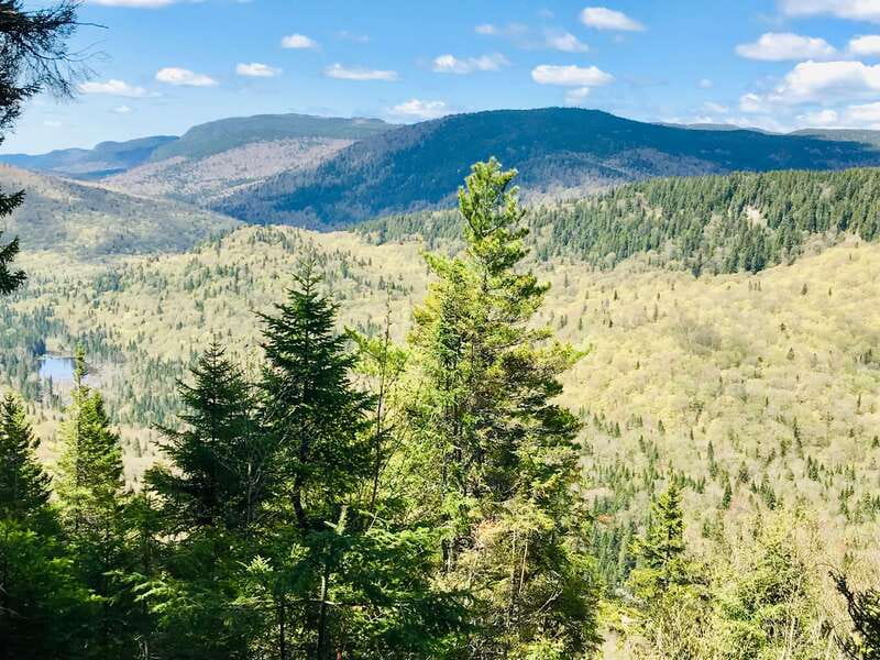 Quebec City: Guided Hike in Jacques-Cartier National Park - Who will enjoy this outing most?