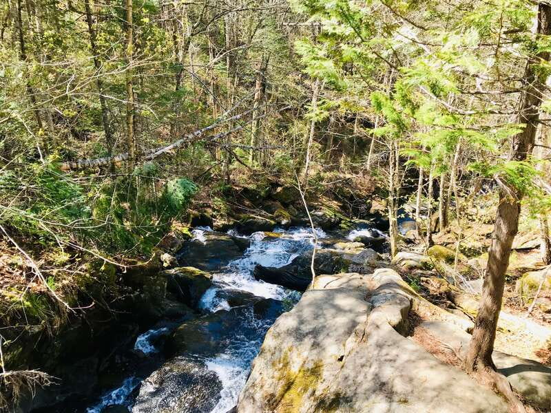 Quebec City: Guided Hike in Jacques-Cartier National Park - Timing, weather, and useful planning tips