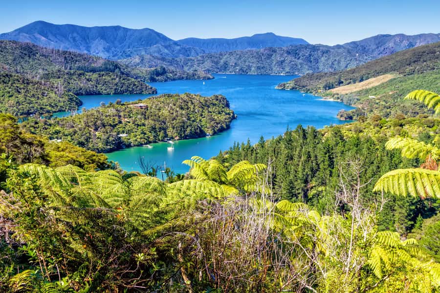 Queen Charlotte Track: Cruise & Self-Guided Hike from Picton - Key points to know before you book