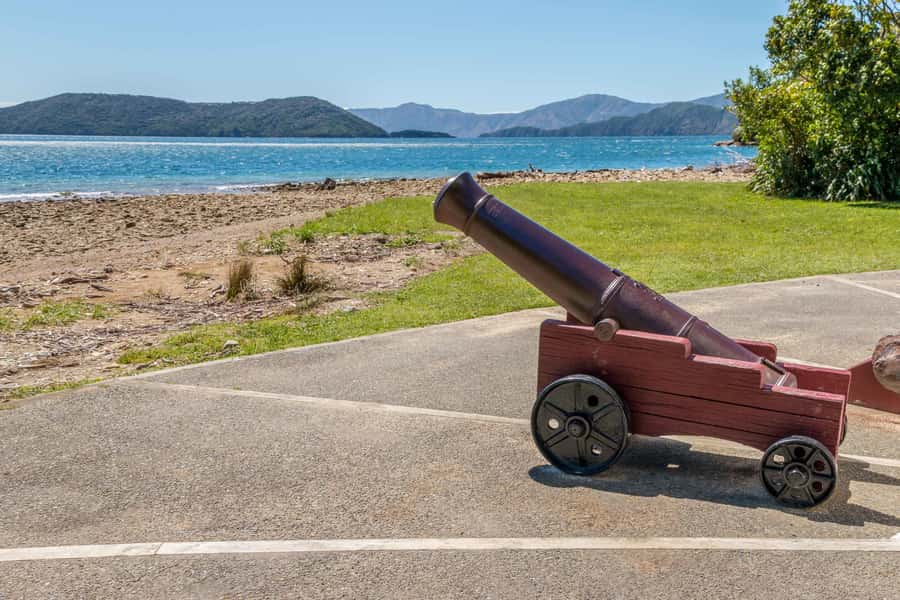 Queen Charlotte Track: Cruise & Self-Guided Hike from Picton - Choosing between the two walks