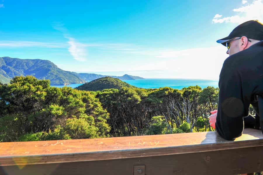 Queen Charlotte Track: Cruise & Self-Guided Hike from Picton - What the trail feels like underfoot