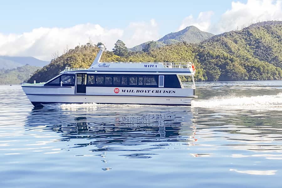 Queen Charlotte Track: Cruise & Self-Guided Hike from Picton - The views, bays, and small surprises
