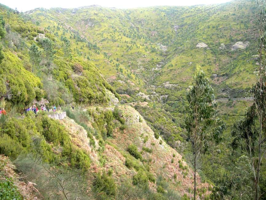 Rabaçal: 25 Fontes & Risco Levada Hiking Transfer - Key points to know before booking