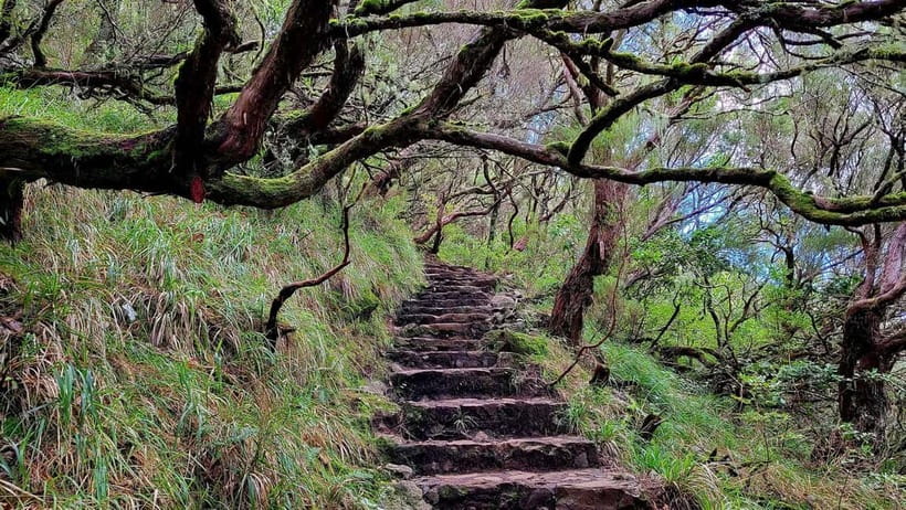 Rabaçal: 25 Fontes & Risco Levada Hiking Transfer - My verdict on the 25 Fontes transfer