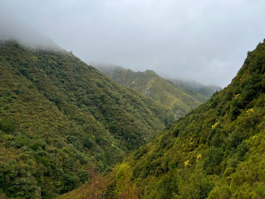 Rabaçal: 25 Fontes & Risco Levada Hiking Transfer - Why the 25 Fontes route is worth your time