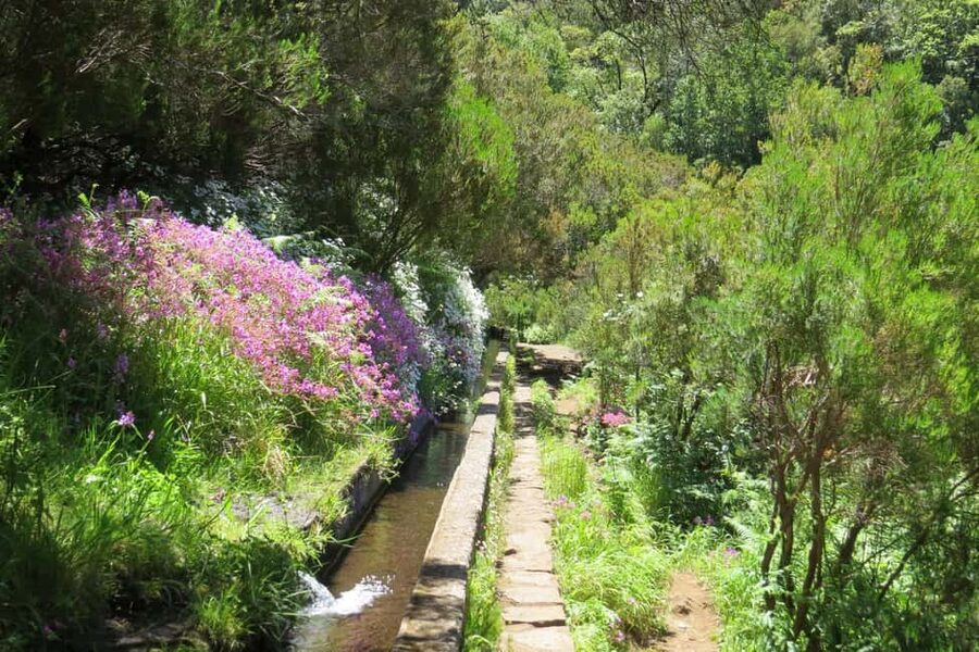 Rabaçal: 25 Fontes & Risco Levada Hiking Transfer - The walking itself: stairs, levadas, and wet forest
