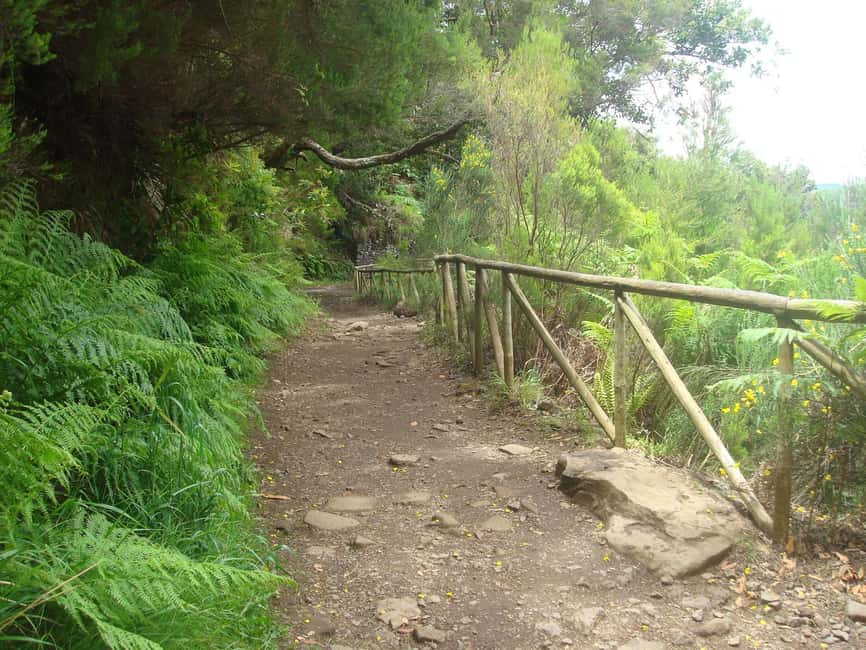 Rabaçal: 25 Fontes & Risco Levada Hiking Transfer - Who should choose this hike
