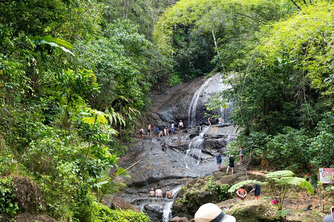 Rainforest Hike and Waterfall Safari - The drive through plantations and countryside
