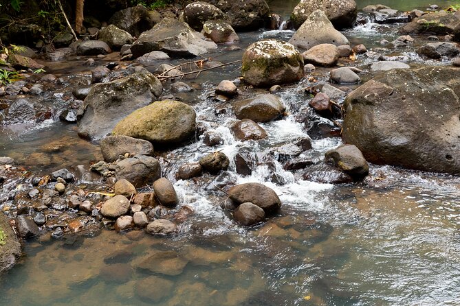 Rainforest Hike and Waterfall Safari - Cold pools and a beautiful waterfall