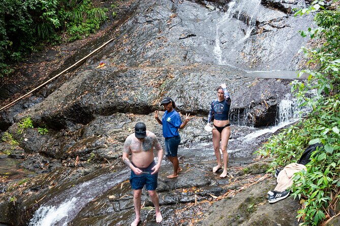 Rainforest Hike and Waterfall Safari - What is included for $66.67