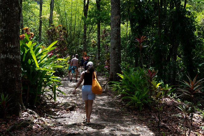 Rainforest Hike and Waterfall Safari - Who will enjoy this outing most