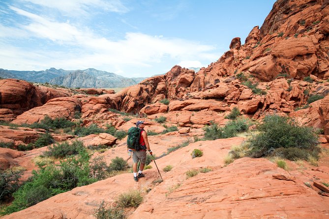 Red Rock Canyon Hike with Transport from Las Vegas - Why Red Rock Canyon is the right break from Las Vegas