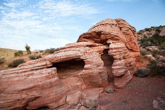 Red Rock Canyon Hike with Transport from Las Vegas - Choosing between an easy walk and a rocky route
