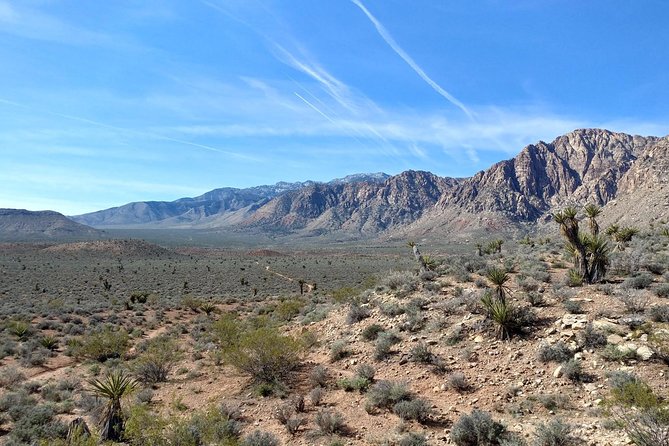Red Rock Canyon Hike with Transport from Las Vegas - The guides shape the whole outing