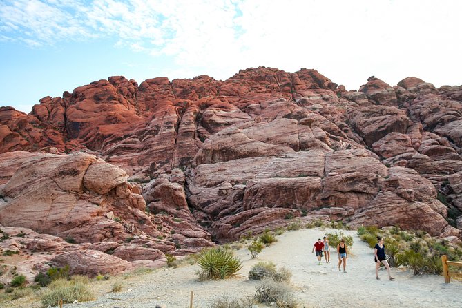 Red Rock Canyon Hike with Transport from Las Vegas - Who should book this Red Rock hike?