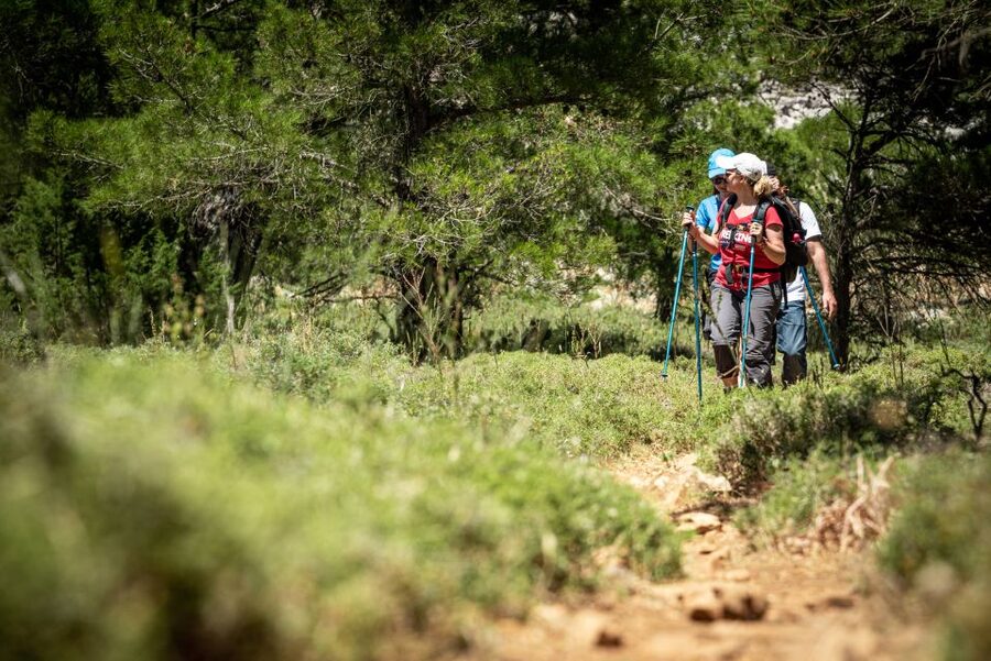 Rhodes: Hiking Tour to the Summit of Akramitis with Photos - Who will enjoy this hike most