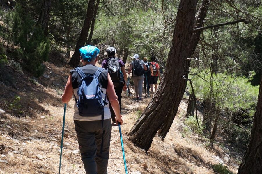 Rhodes: Hiking Tour to the Summit of Akramitis with Photos - From Monolithos into the cypress woods