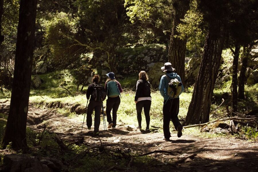 Rhodes: Profitis Ilias Guided Sunset Hike - Is $58 a fair price?