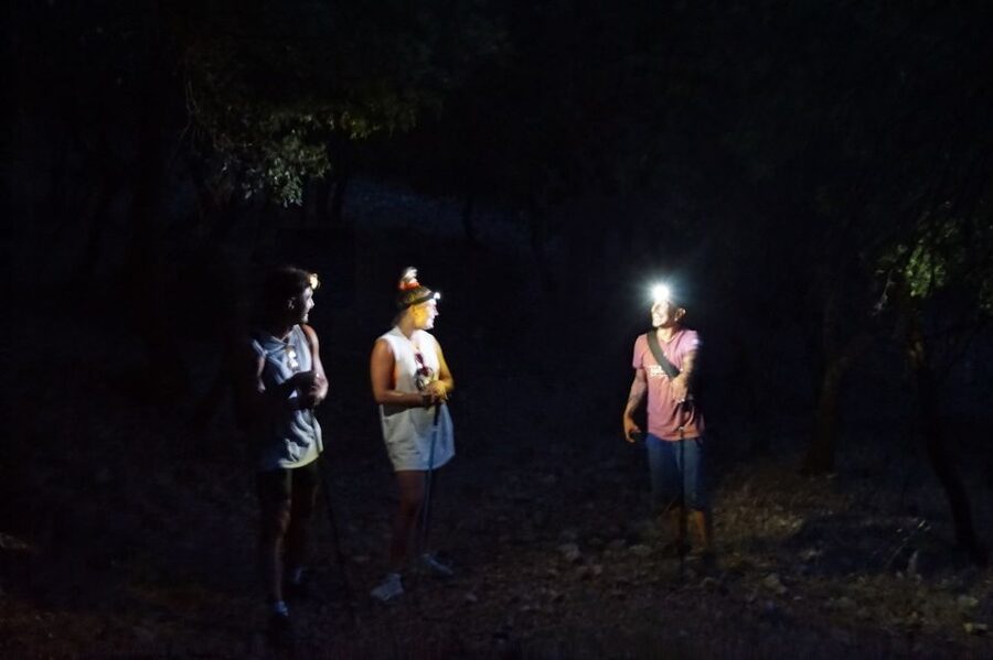 Rhodes: Profitis Ilias Guided Sunset Hike - The 1.5-hour ascent through island woodland