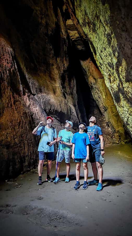 Rio: Tijuca Forest Small Group Hike to Caves and Waterfalls - Cascatinha Taunay starts the story
