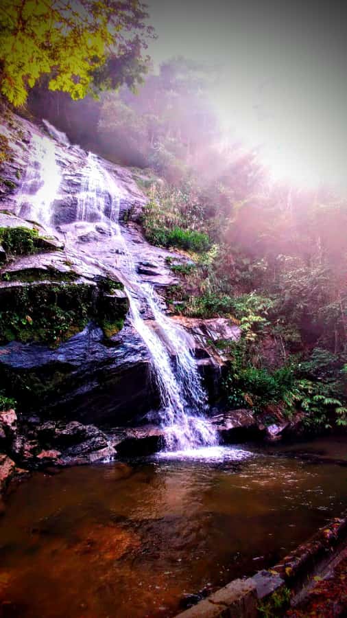 Rio: Tijuca Forest Small Group Hike to Caves and Waterfalls - Morcego’s Grotto brings geology into the walk