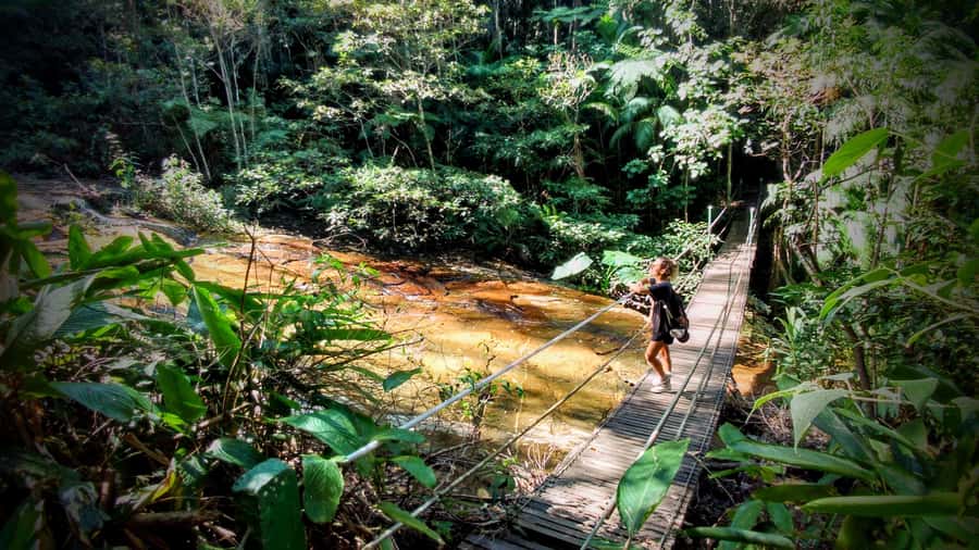 Rio: Tijuca Forest Small Group Hike to Caves and Waterfalls - Hotel pickup makes the park easy to reach