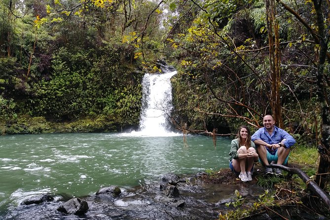 Road To Hana: Maui Waterfall Hiking Tour in Private Jeep - Banana bread, pineapple, and a local lunch
