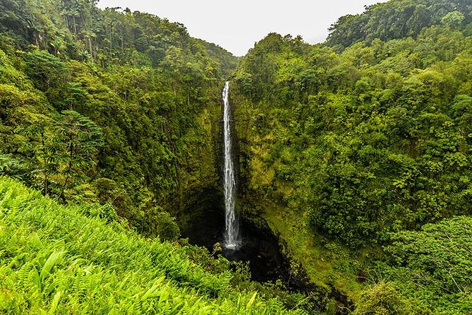 Road To Hana: Maui Waterfall Hiking Tour in Private Jeep - Waterfalls that require leaving the Jeep