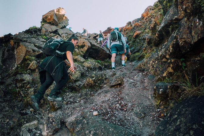 Rotorua Hiking: Mt Tarawera Guided Volcanic Crater Experience - Why Mt Tarawera feels unlike a normal Rotorua walk